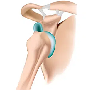 image_20260113_212407_0000